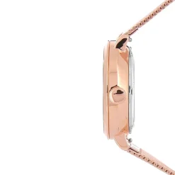 Montre Automatique 35 Argent-PIERRE LANNIER