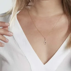 Pendentif Caprais Or Jaune Oxydes De Zirconium-Histoire d'Or Best