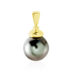 Pendentif Cerclee Or Jaune Perle De Culture De Tahiti-Histoire d'Or New
