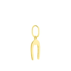 Pendentif Egide Fer A Cheval Or Jaune-Histoire d'Or Outlet