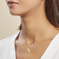 Histoire d'Or Pendentif Gaietana Martinique Or Jaune