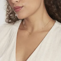 Histoire d'Or Pendentif Salamandre Or Jaune