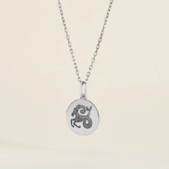 Pendentif Zodiaque Rond Argent Blanc-Histoire d'Or Sale