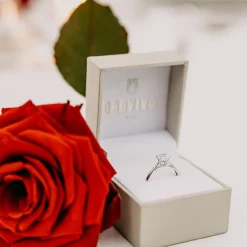 Solitaire Or Blanc Laurian Oxyde De Zirconium Blanc-Histoire d'Or New